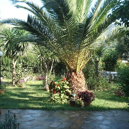 Avra Hotel apartamentowy Dassia (Corfu)