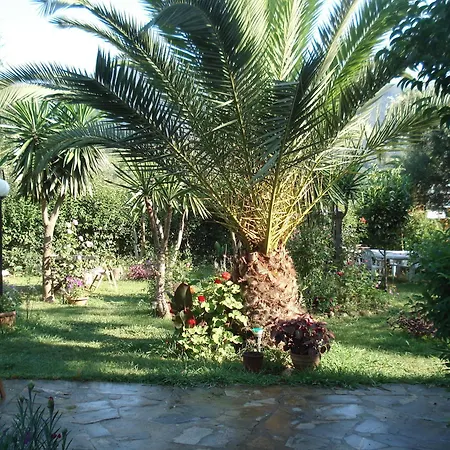 Avra 3*